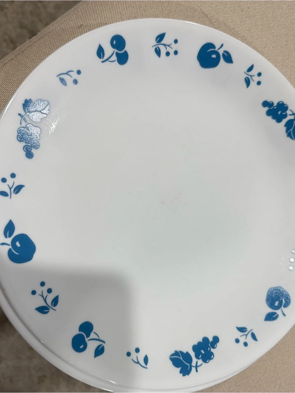 Corelle Eve White Dinner Plates with Blue Floral & Fruit Border - Set of 4
